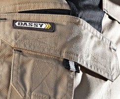 Dassy